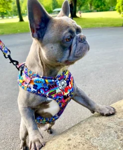 Graffiti - Dog Lead - End Of Line