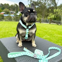 Green Check - Luxe Strap Harness
