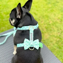 Green Check - Luxe Strap Harness