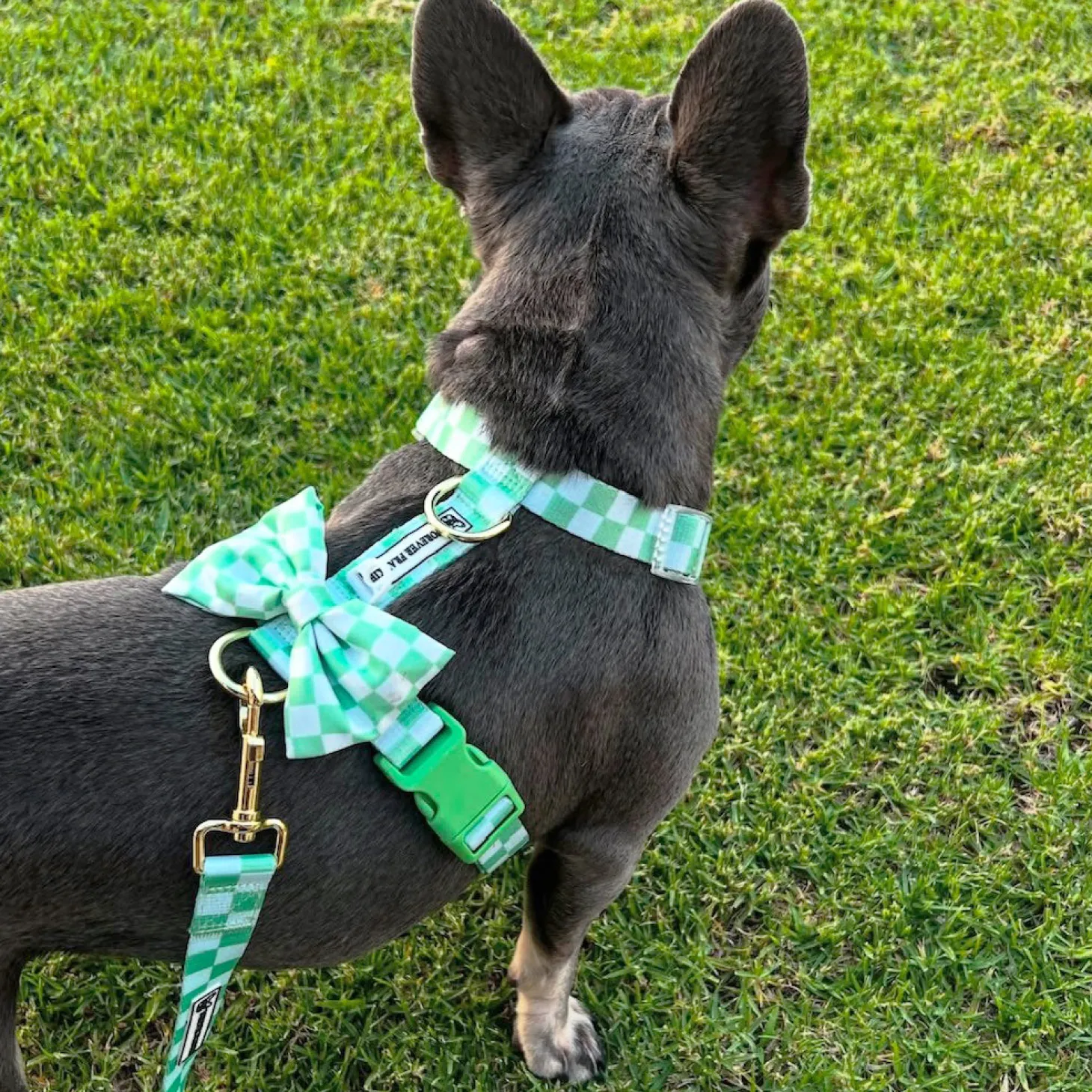Green Check - Luxe Strap Harness