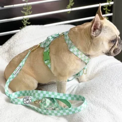 Green Check - Luxe Strap Harness