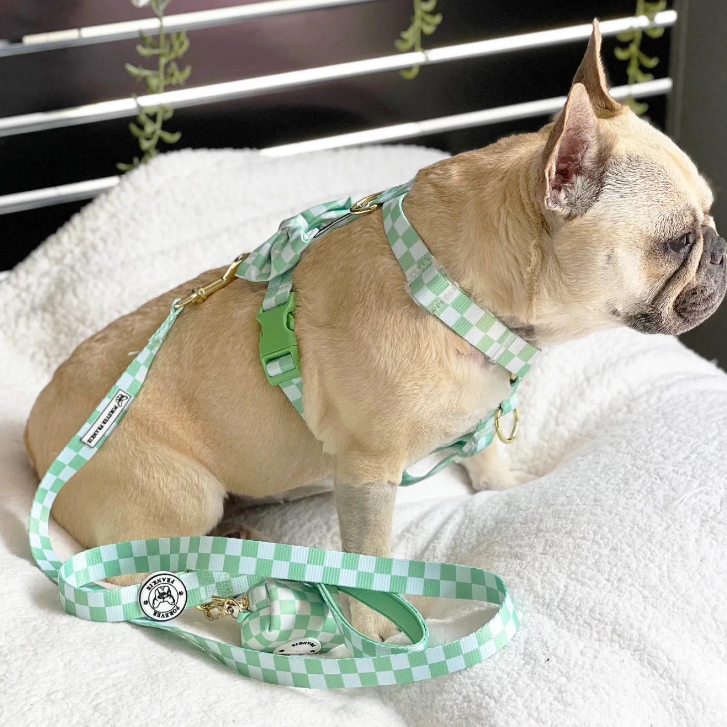 Green Check - Luxe Strap Harness
