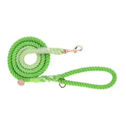 Green Ombre - Rope Dog Lead
