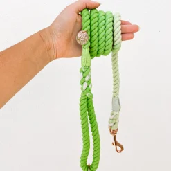 Green Ombre - Rope Dog Lead