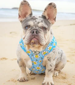 Happy Days - Adjustable Harness