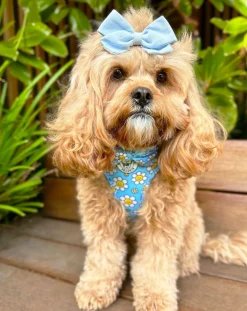 Happy Days - Adjustable Harness