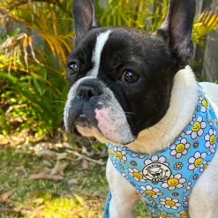 Happy Days - Adjustable Harness