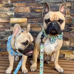 Happy Days - Adjustable Harness