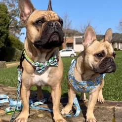 Happy Days - Adjustable Harness