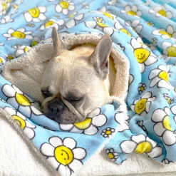 Happy Days - Extra Soft Pet Blanket