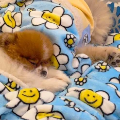 Happy Days - Extra Soft Pet Blanket
