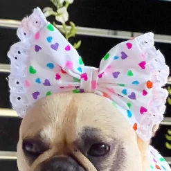 Heartbeat Fiesta - Head Bow (Limited Edition)