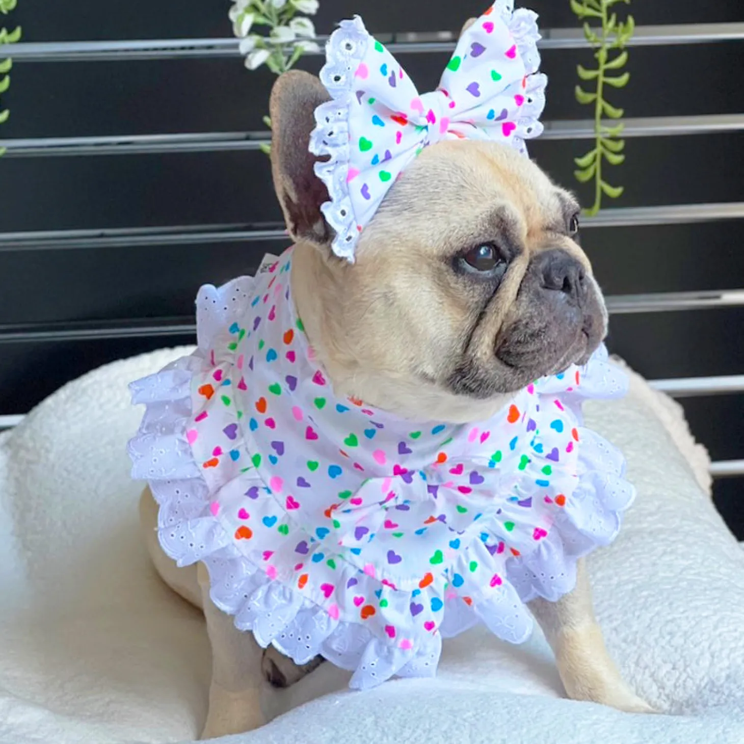 Heartbeat Fiesta Bandana