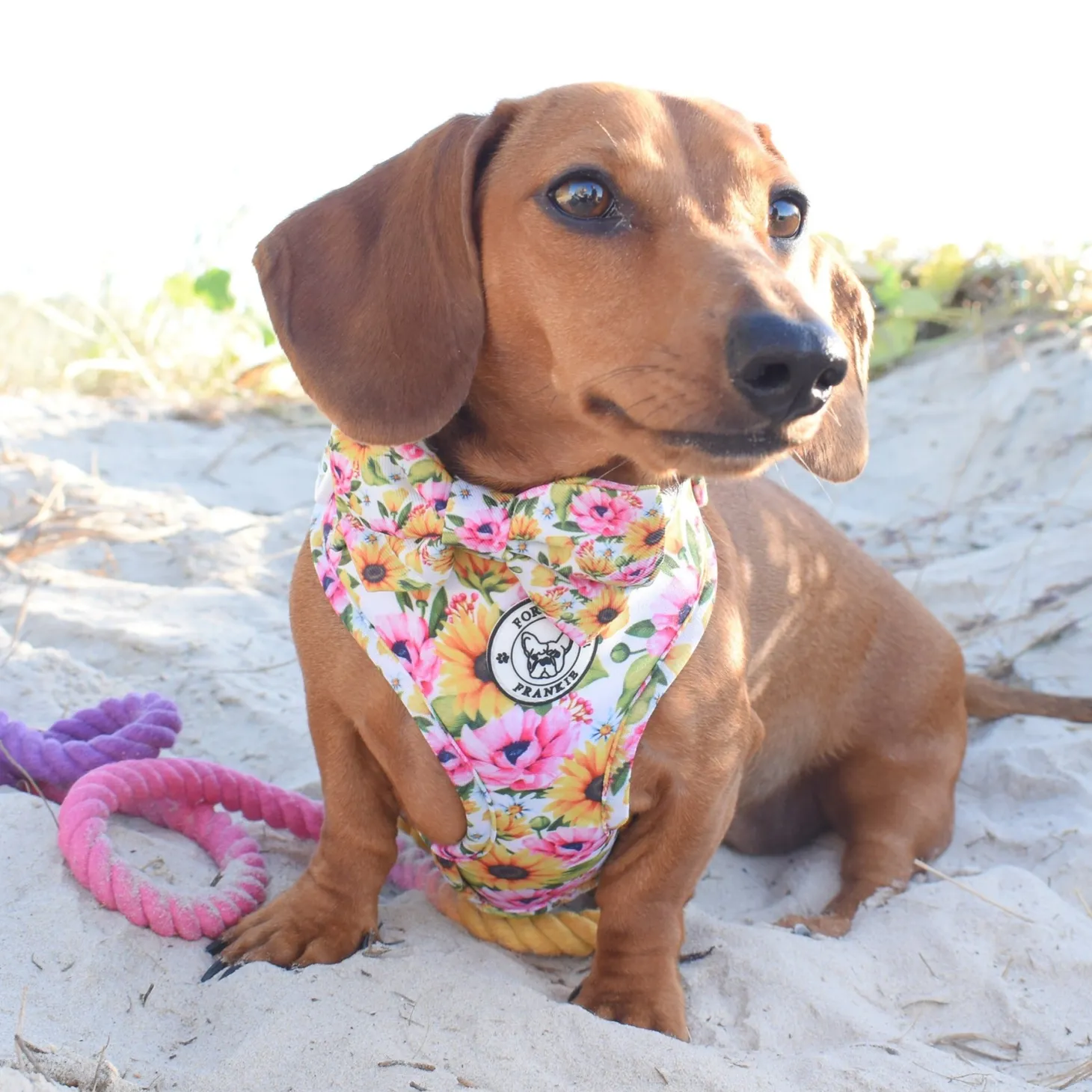 Heavenly Sunflower - Adjustable Harness