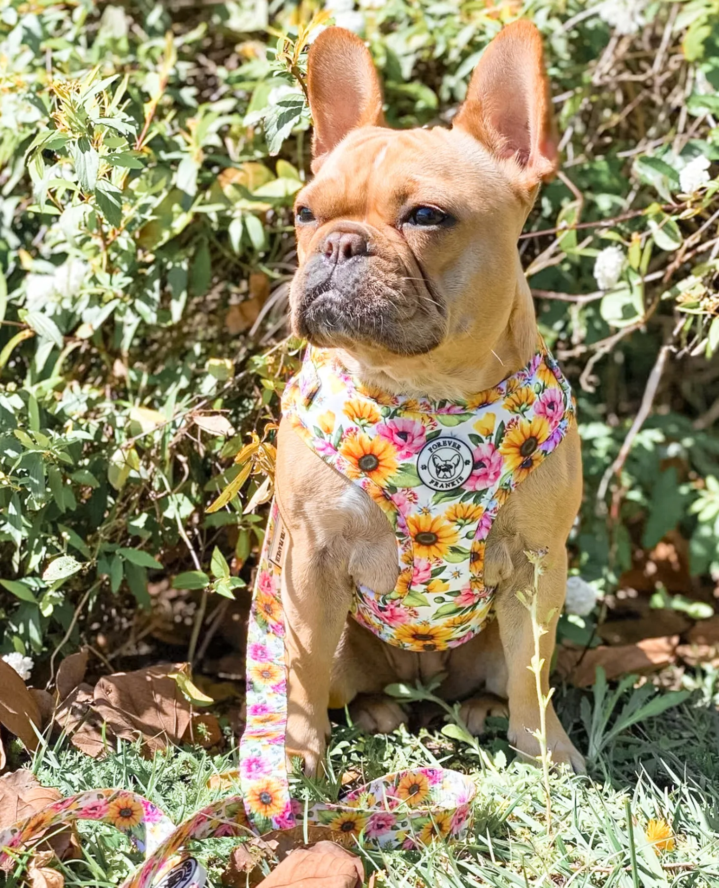 Heavenly Sunflower - Adjustable Harness