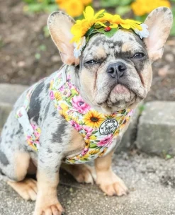 Heavenly Sunflower - Adjustable Harness