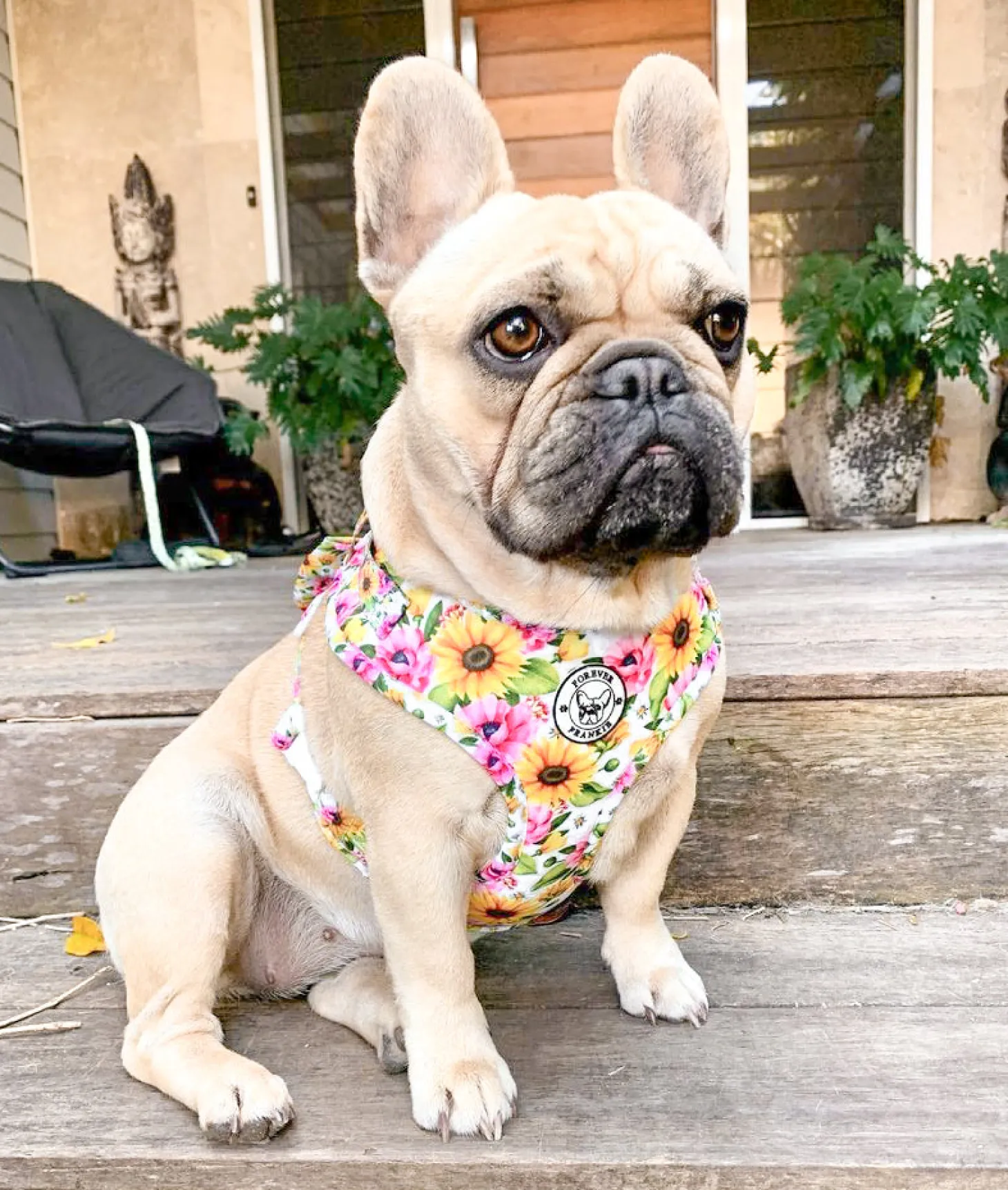 Heavenly Sunflower - Adjustable Harness