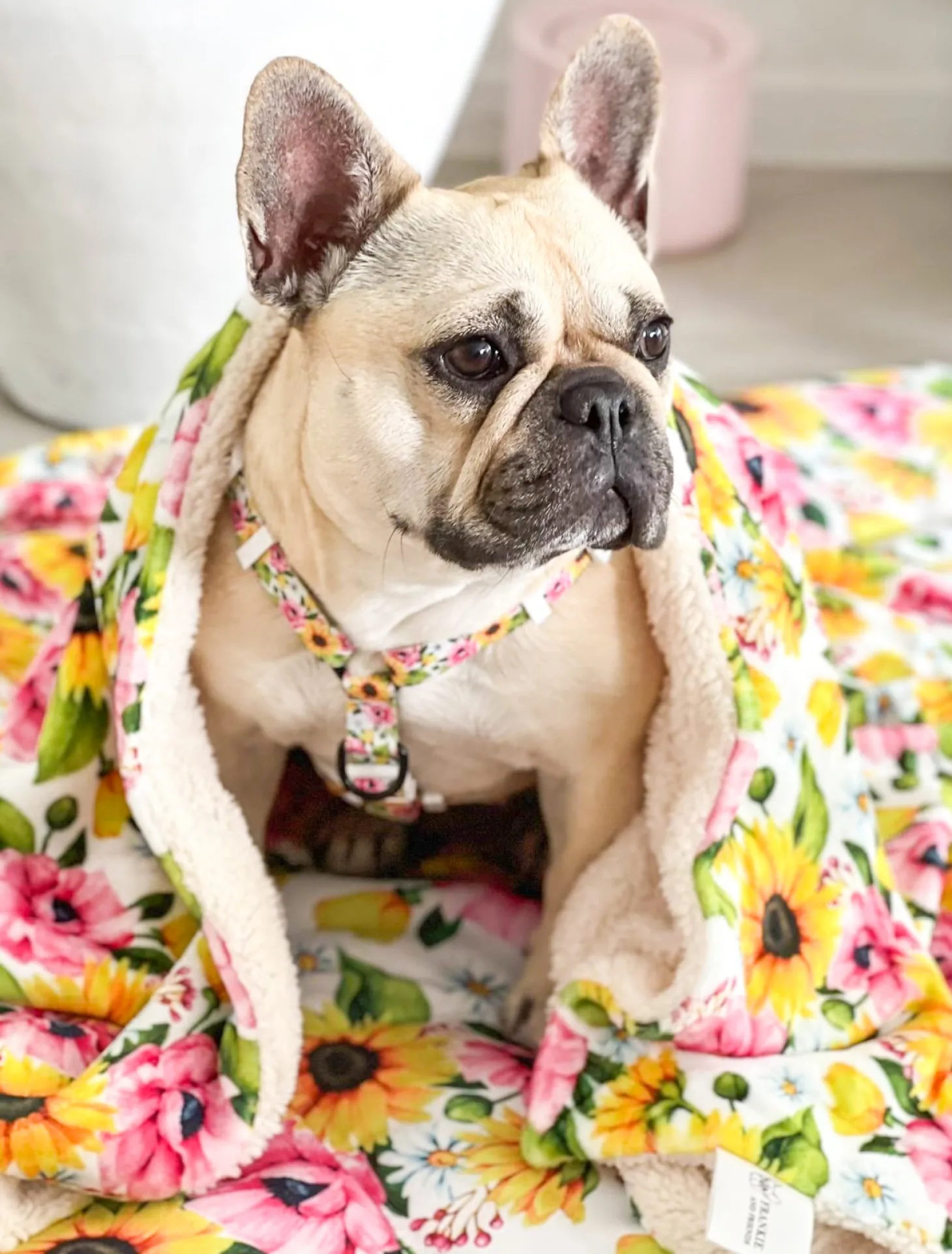 Heavenly Sunflower - Extra Soft Pet Blanket