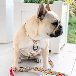 Heavenly Sunflower - Strap Harness