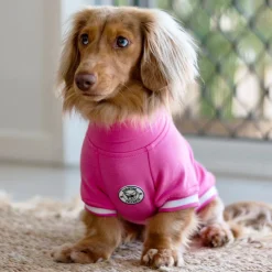 Hot Pink with striped ribbing Dog Skivvie