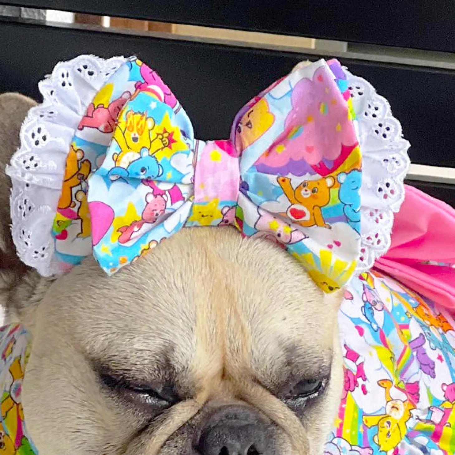 Hug me Wonderland - Head Bow (Limited Edition)