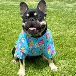 I scream for Ice Cream - Sun & Sand Rashie UV 50+