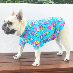 I scream for Ice Cream - Sun & Sand Rashie UV 50+