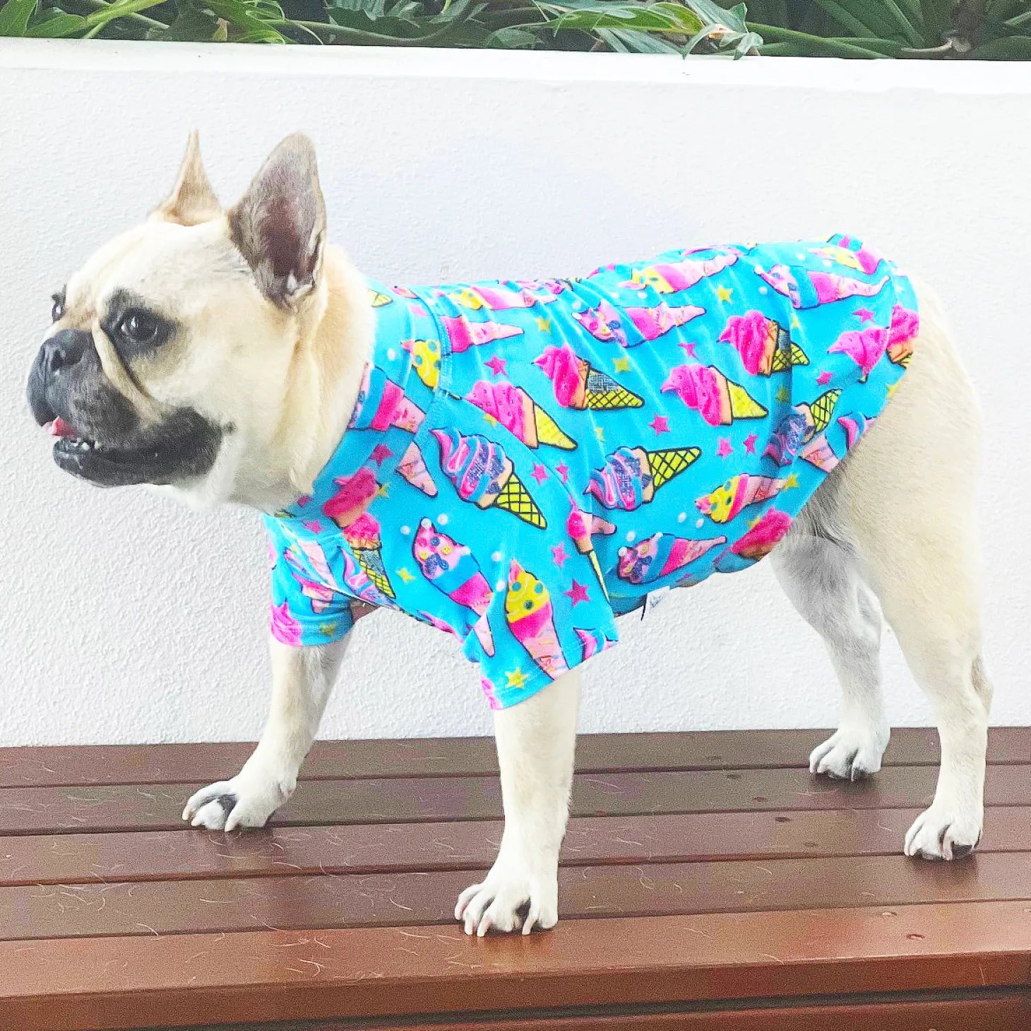 I scream for Ice Cream - Sun & Sand Rashie UV 50+