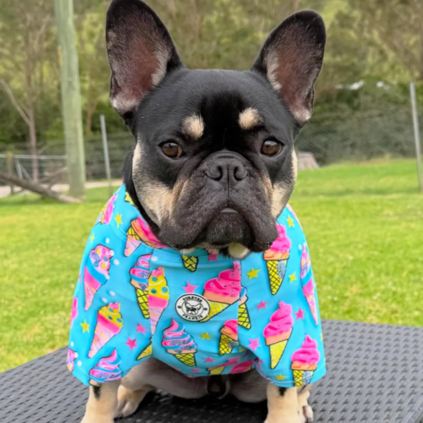 I scream for Ice Cream - Sun & Sand Rashie UV 50+