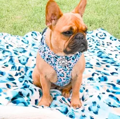 Jungle Fever - Adjustable Harness