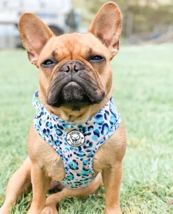 Jungle Fever - Adjustable Harness