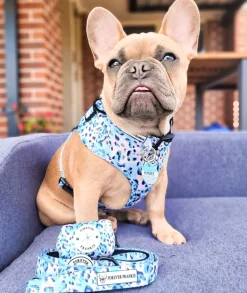 Jungle Fever - Adjustable Harness