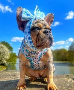 Jungle Fever - Adjustable Harness