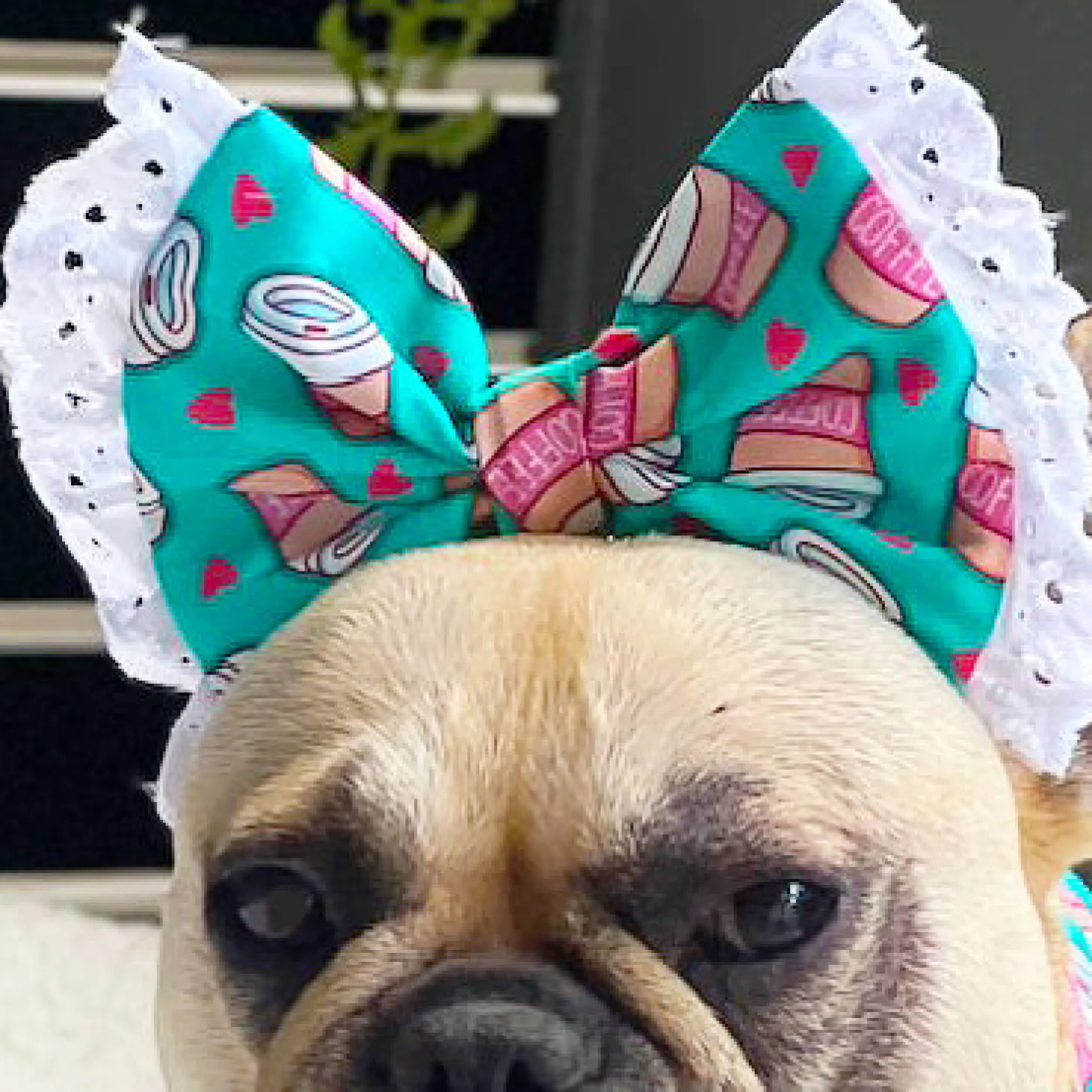 Latte Pup Love - Head Bow (Limited Edition)