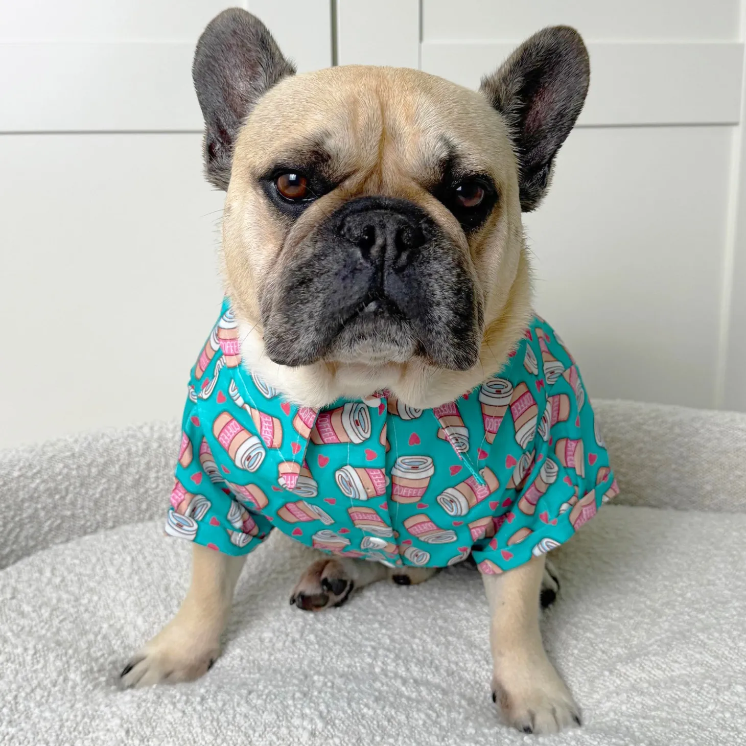 Latte Pup Love - Party Shirt