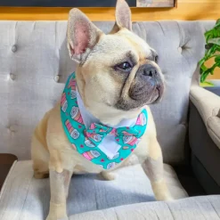 Latte Pup Love Bandana