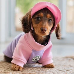 Lavender & Pink Sorbet Dog Skivvie