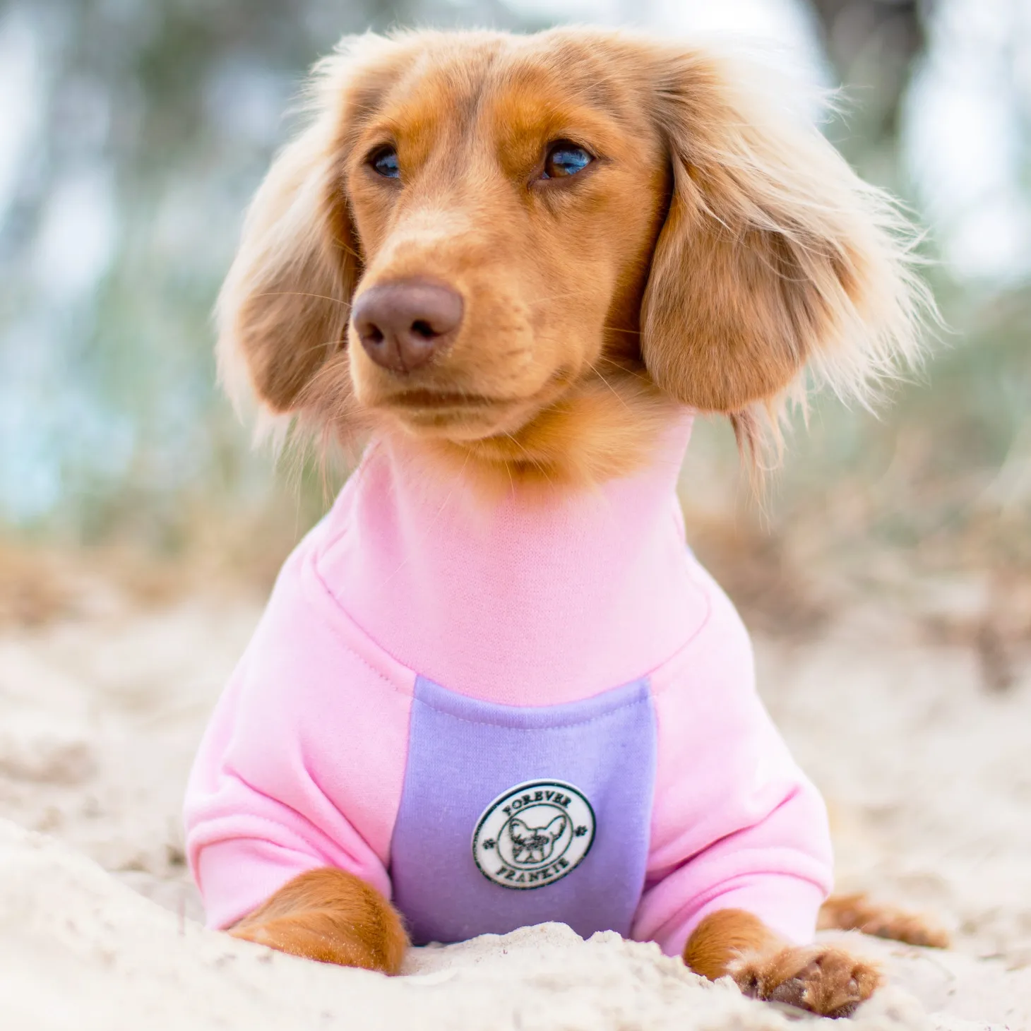 Lavender & Pink Sorbet Dog Skivvie