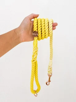 Lemon Yellow Ombre - Rope Dog Lead
