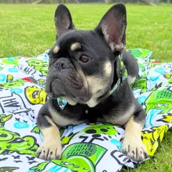 Lil Monster - Adventure Mat