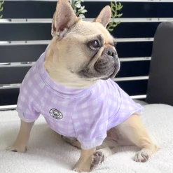 Lilac Love Dog Skivvie (Limited Edition)