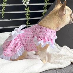 Luxe Cherry Gingham Dog Dress (Limited Edition)