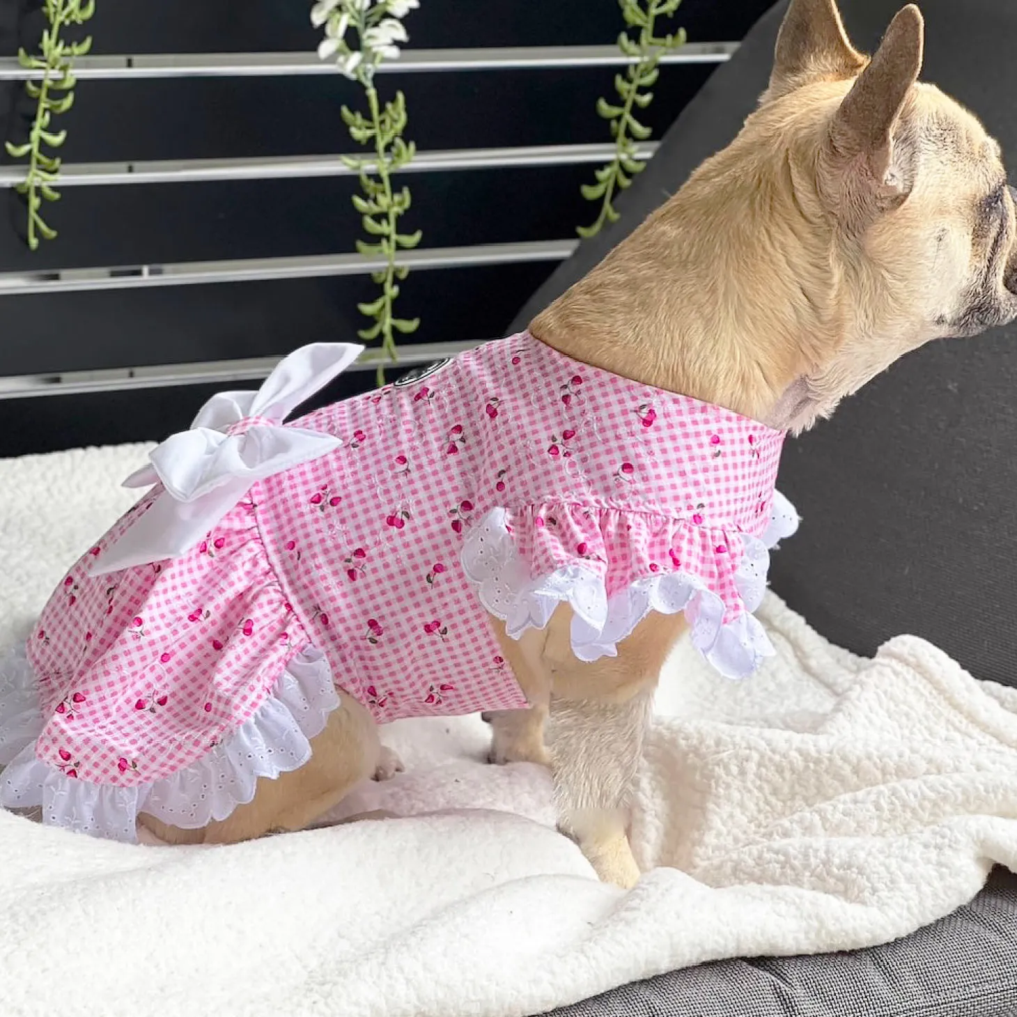 Luxe Cherry Gingham Dog Dress (Limited Edition)