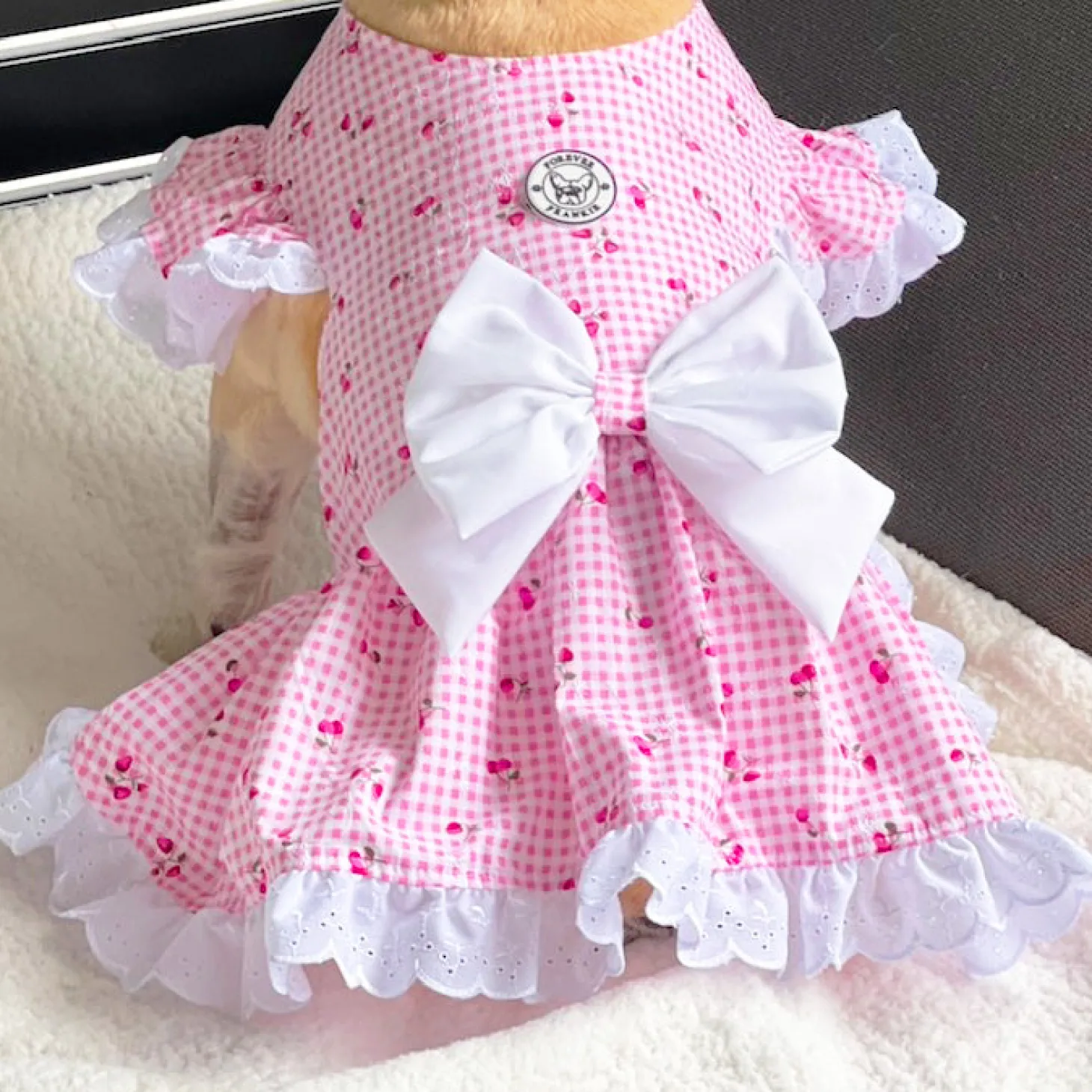Luxe Cherry Gingham Dog Dress (Limited Edition)