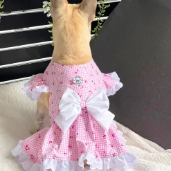 Luxe Cherry Gingham Dog Dress (Limited Edition)