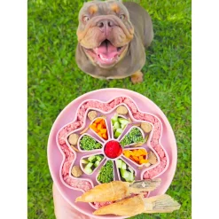 Luxe Cinnamon Flower - Slow Feed Bowl