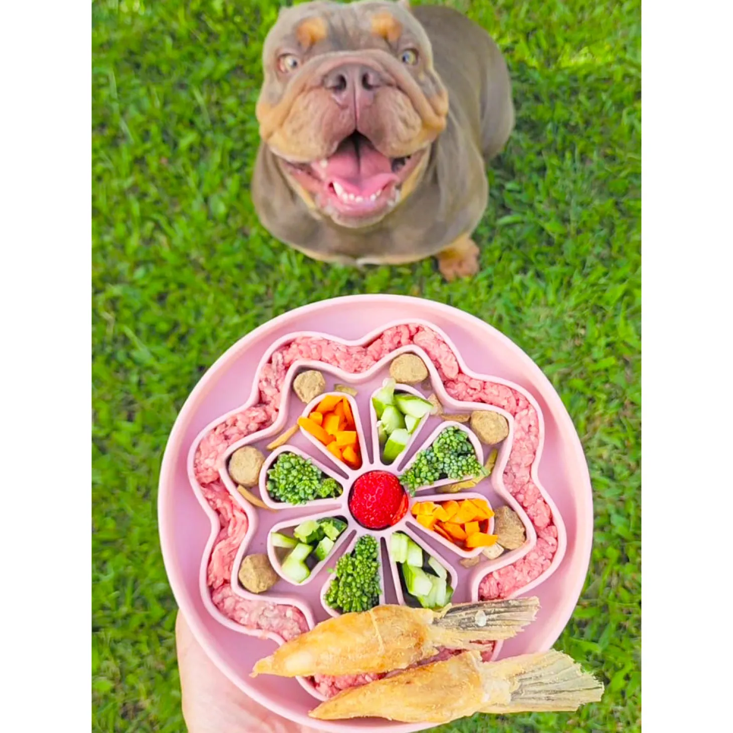 Luxe Cinnamon Flower - Slow Feed Bowl