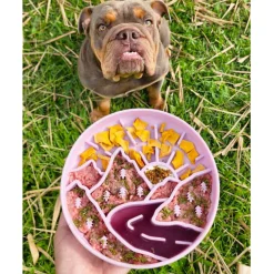 Luxe Mulberry Mountain Light - Slow Feed Bowl