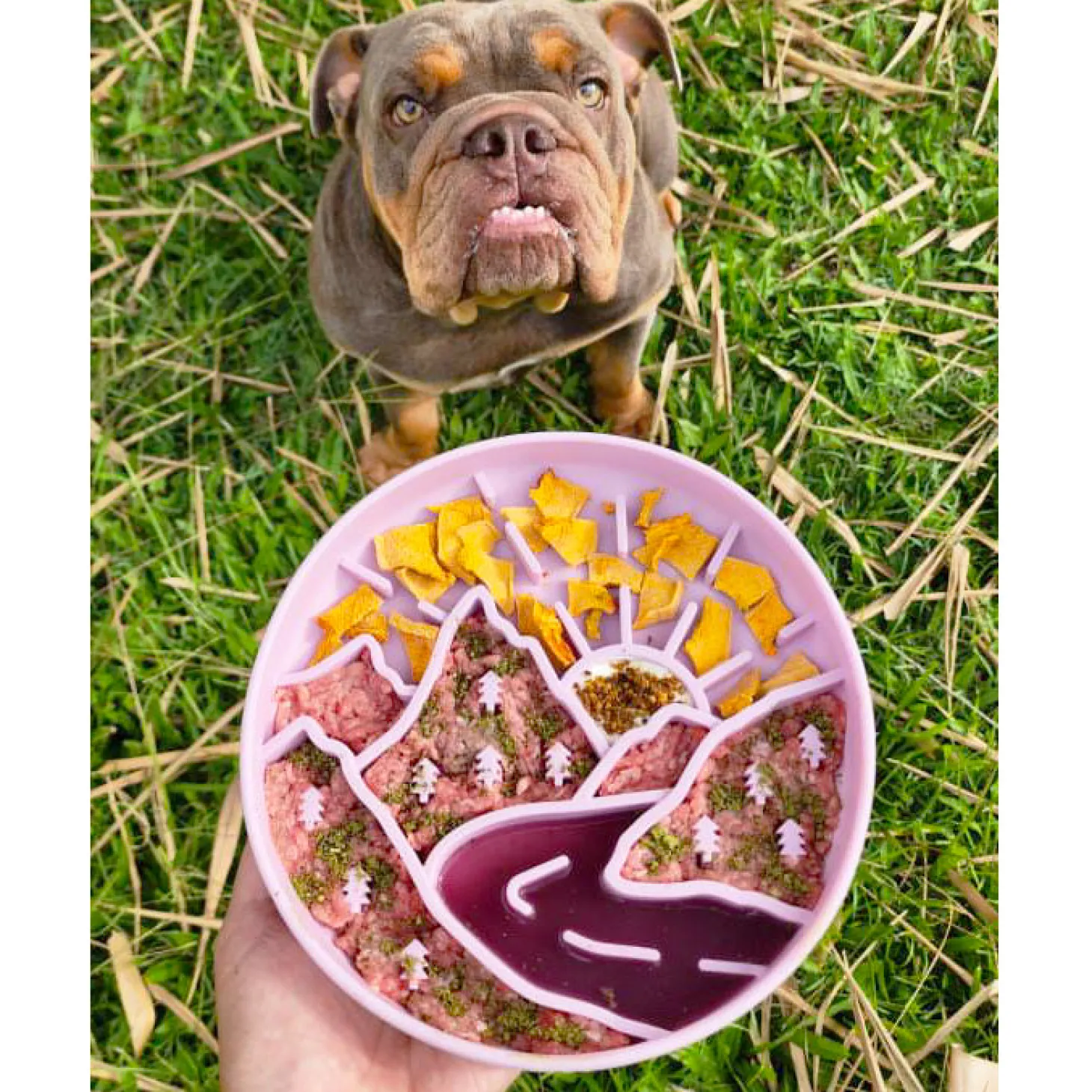 Luxe Mulberry Mountain Light - Slow Feed Bowl