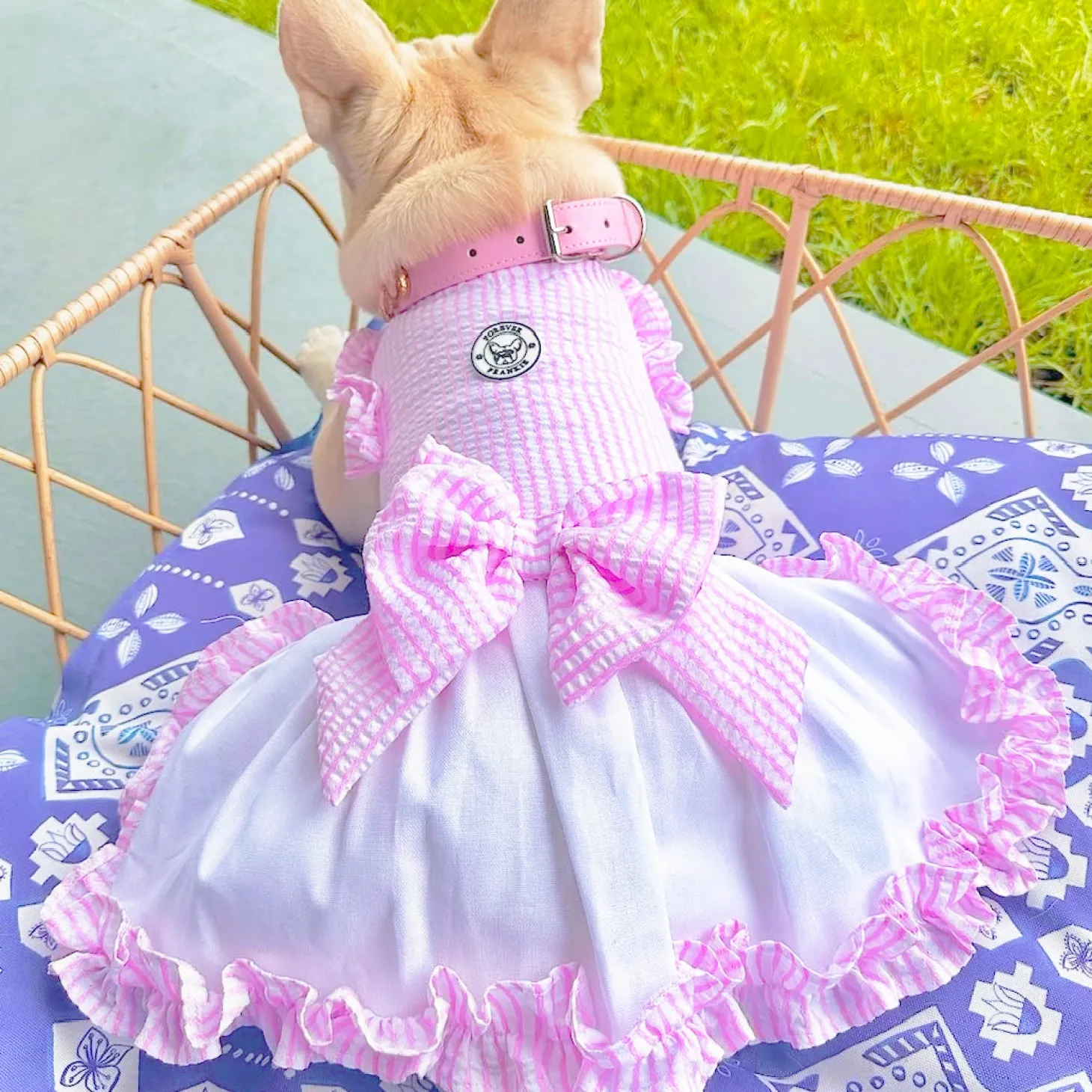 Luxe Pink Gingham Seersucker Dog Dress (Limited Edition)